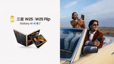 samsung w25 flip