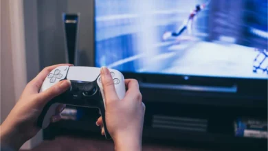 سر مخفي في إعدادات PS5