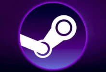 Steam