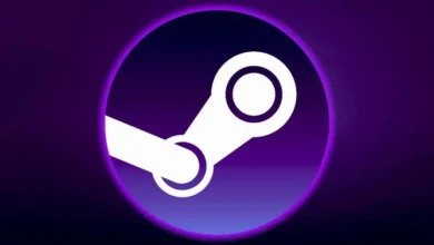 Steam