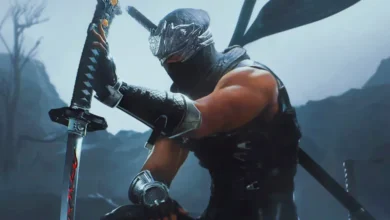 Ninja Gaiden 2 Black