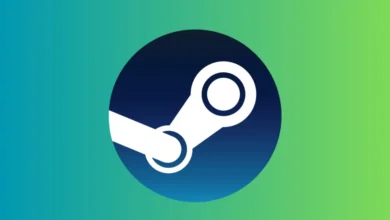 Steam