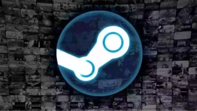 Steam