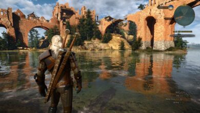 the witcher 3