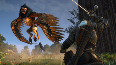 The Witcher