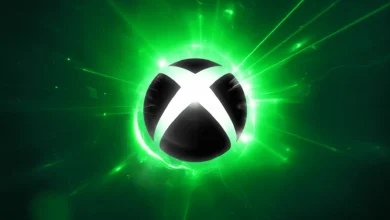 Xbox Partner Preview